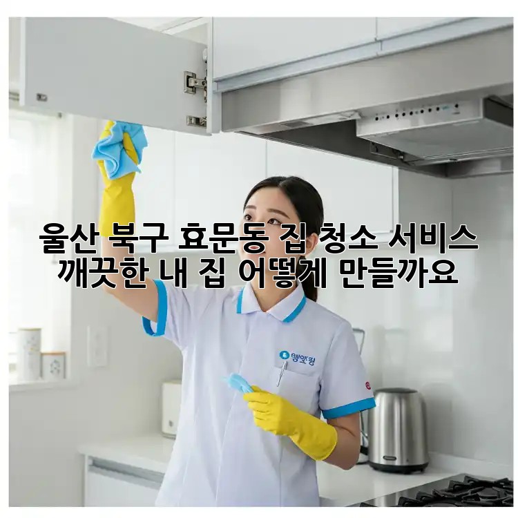 울산 북구 효문동 집 청소 서비스: 깨끗한 내 집, 어떻게 만들까요?