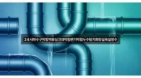 24시하수구막힘역류싱크대막힘변기막힘누수탐지화장실욕실방수
