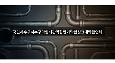 국민하수구하수구막힘배관막힘변기막힘싱크대막힘업체