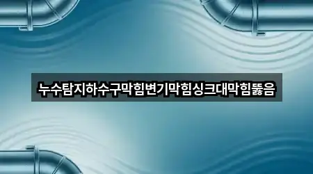 누수탐지하수구막힘변기막힘싱크대막힘뚫음