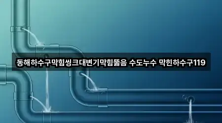 동해하수구막힘씽크대변기막힘뚫음 수도누수 막힌하수구119