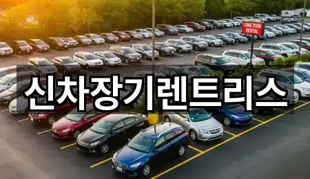 대구 종로1가 장기렌트카 재방문 많은 3곳 대구 종로1가 장기렌트카 재방문 많은 3곳