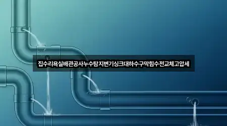 집수리욕실배관공사누수탐지변기싱크대하수구막힘수전교체고압세