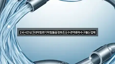 24시간싱크대막힘변기막힘뚫음정화조오수관역류하수구뚫는업체