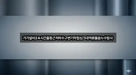가가설비24시간출동근처하수구변기막힘싱크대역류뚫음누수탐사