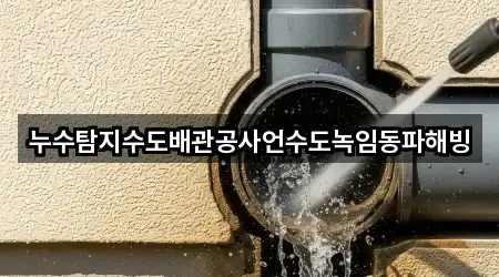 누수탐지수도배관공사언수도녹임동파해빙