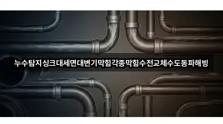 누수탐지싱크대세면대변기막힘각종막힘수전교체수도동파해빙