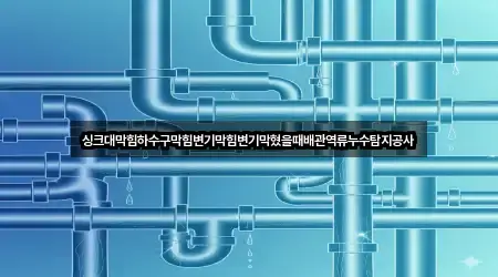 싱크대막힘하수구막힘변기막힘변기막혔을때배관역류누수탐지공사