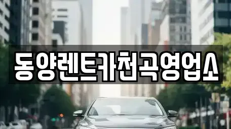 강원특별자치도 동해시 묵호진동 렌트카 전문 동양렌트카천곡영업소