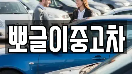 강원특별자치도 동해시 묵호진동 중고차 전문 뽀글이중고차