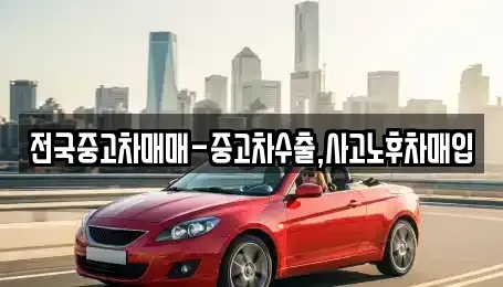 강원특별자치도 동해시 묵호진동 중고차매매 전문 전국중고차매매-중고차수출,사고노후차매입