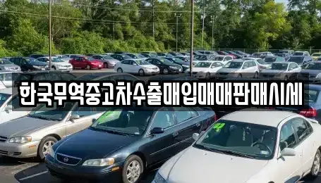 강원특별자치도 동해시 묵호진동 중고차매매 전문 한국무역중고차수출매입매매판매시세