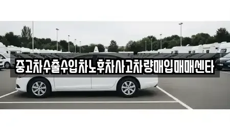 강원특별자치도 동해시 묵호진동 중고차매입 전문 중고차수출수입차노후차사고차량매입매매센타