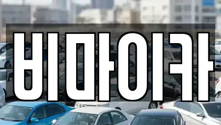 경기 고양시 일산동구 정발산동 렌트카 전문 비마이카