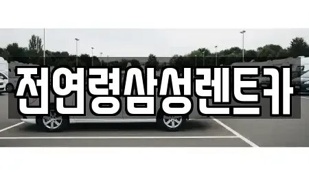 경기 고양시 일산동구 정발산동 렌트카 전문 전연령삼성렌트카