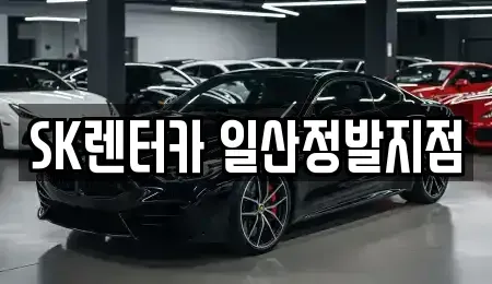 경기 고양시 일산동구 정발산동 장기렌트카 전문 SK렌터카 일산정발지점