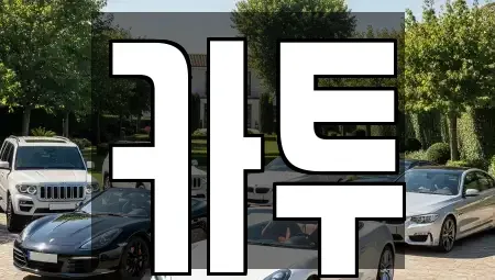 경기 고양시 일산동구 정발산동 장기렌트카 전문 카투