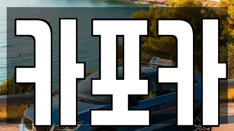 경기 고양시 일산동구 정발산동 장기렌트카 전문 카포카