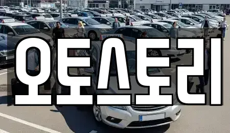 경기도 양주시 삼숭동 중고차매매 전문 오토스토리