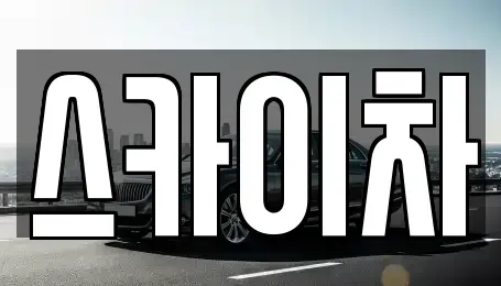 경기도 양주시 삼숭동 중고차매입 전문 스카이차