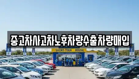 경기도 양주시 삼숭동 중고차매입 전문 중고차사고차노후차량수출차량매입