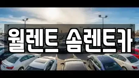 경기도 화성시 황계동 렌트카 전문 월렌트 솜렌트카