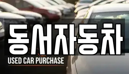 경남 거제시 덕포동 중고차매매 전문 동서자동차