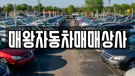 경남 거제시 덕포동 중고차매매 전문 매왕자동차매매상사