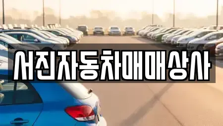경남 거제시 덕포동 중고차매매 전문 서진자동차매매상사