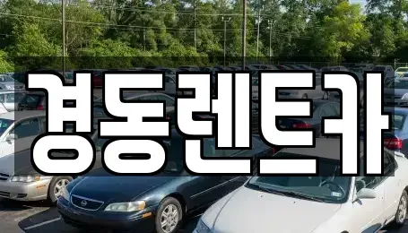 대구 중구 덕산동 렌트카 전문 경동렌트카