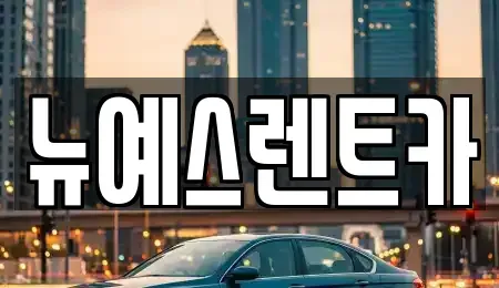 대구 중구 덕산동 렌트카 전문 뉴예스렌트카