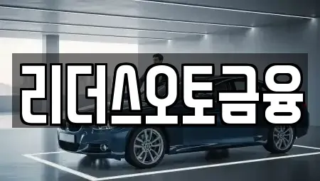 대구 중구 덕산동 장기렌트카 전문 리더스오토금융