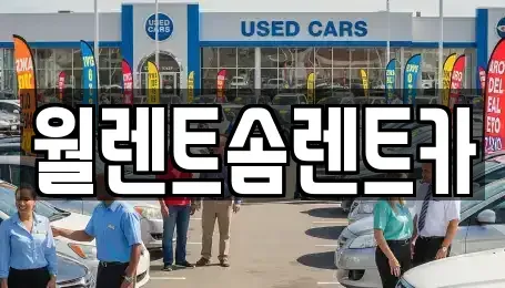 충남 아산시 용화동 렌트카 전문 월렌트솜렌트카