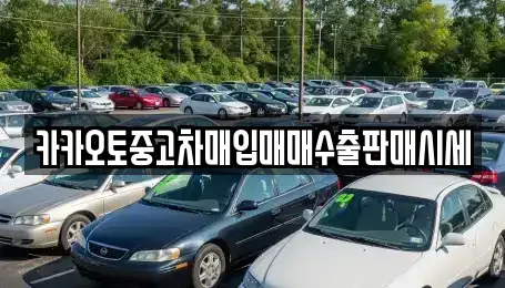 충남 아산시 용화동 중고차 전문 카카오토중고차매입매매수출판매시세